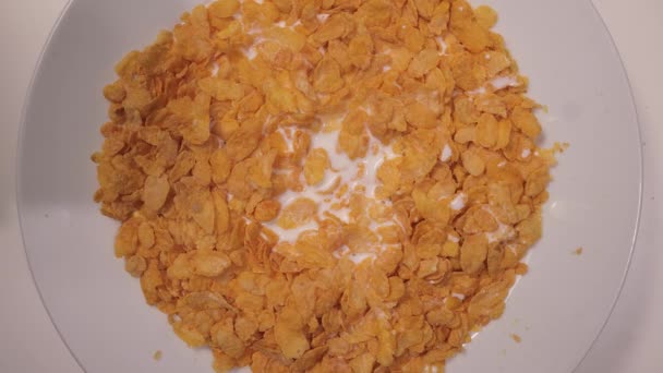 Їжте кукурудзяні пластівці з молоком на сніданок — стокове відео