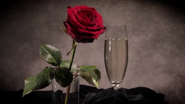 Champagne en rode rozen in close-up zicht — Stockvideo