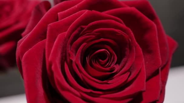 Piękne tło - czerwone róże w widoku z bliska — Wideo stockowe