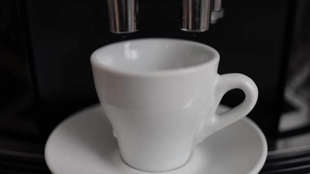 Kopi secara rinci Espresso mengalir ke dalam cangkir — Stok Video