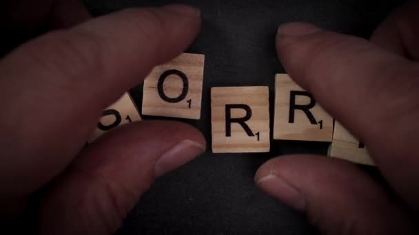 Het woord Sorry met houten letters schrijven — Stockvideo