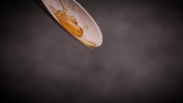Макроглоток темного меда — стоковое видео