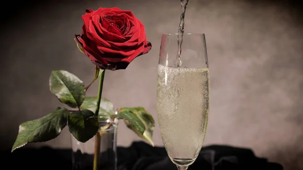 Red roses and glasses of Champagne — Stock Photo, Image