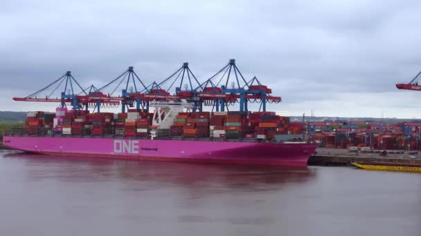 Containerfartyg vid terminalen i Hamburgs hamn - HAMBURG, TYSKLAND - MAJ 10, 2021 — Stockvideo