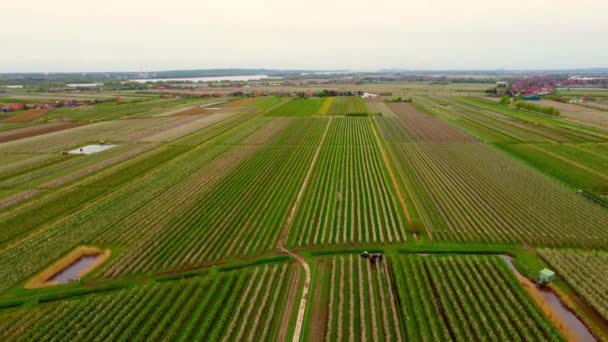 Vuelo sobre campos de manzanos en las marismas de Altes Land Hamburg — Vídeos de Stock