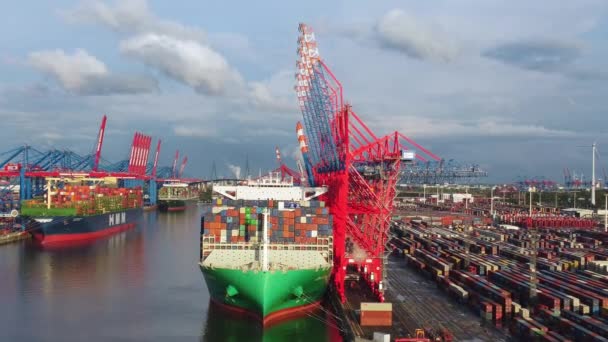 Containerterminal in de haven van Hamburg — Stockvideo