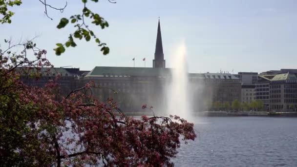 Fontaine Célèbre Sur Lac Alster Dans Centre Ville Hambourg Photographie — Video