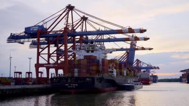 Hamburgs Imponerande Hamn Med Sina Enorma Containerterminaler Hamburg Tyskland Maj — Stockvideo