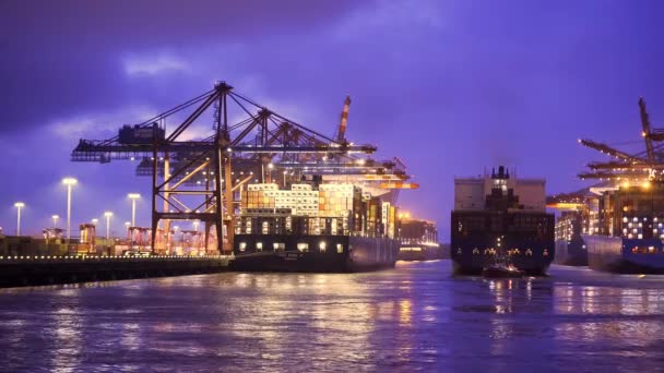 Impresionante Puerto Hamburgo Con Sus Enormes Terminales Contenedores Por Noche — Vídeos de Stock