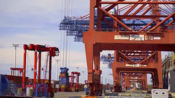 Hamburg Limanı Ndaki Konteyner Terminali Hamburg Almanya Mayıs 2021 — Stok video