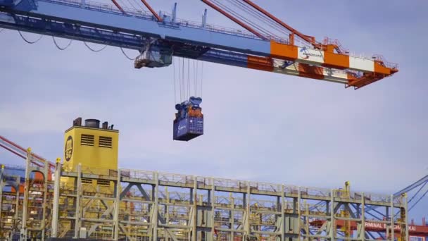 Laden Lossen Van Containers Haven Van Hamburg Hamburg Duitsland Mei — Stockvideo