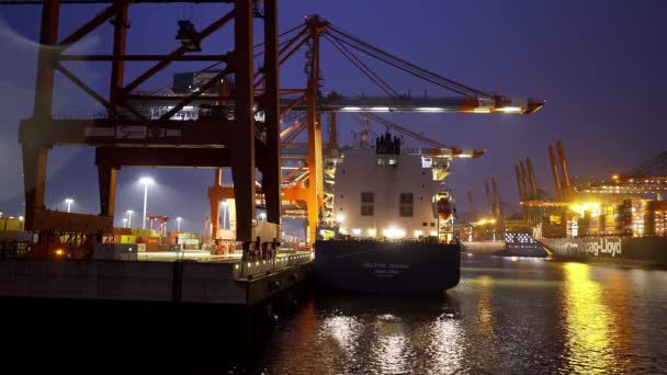 Indrukwekkende Haven Van Hamburg Met Zijn Enorme Containerterminals Geweldig Uitzicht — Stockvideo