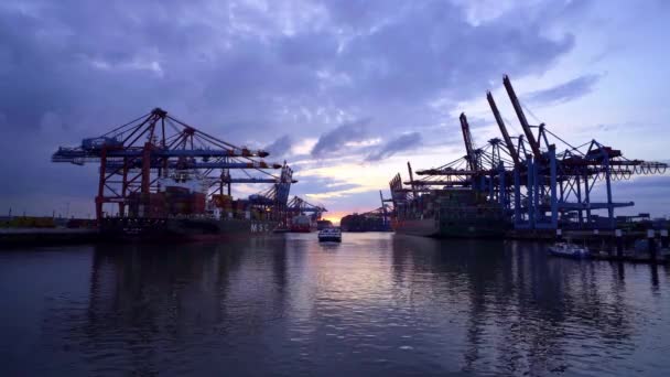 Imponujący Port Hamburgu Ogromnymi Terminalami Kontenerowymi Zdjęcia Wakacji — Wideo stockowe