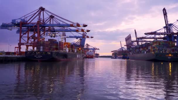 ハンブルクの港に沈む夕日 ドイツ ハンブルク 2021年5月10日 — ストック動画