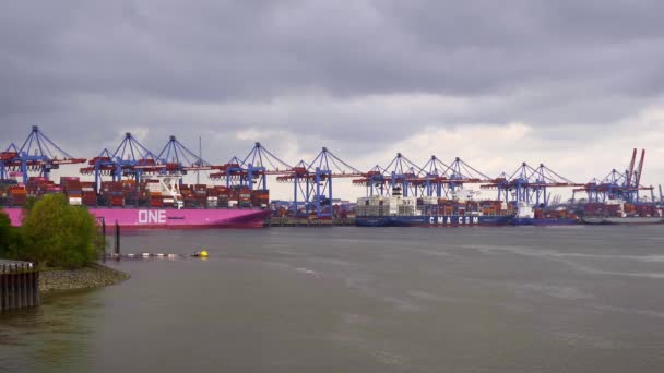Terminal Contenedores Altenwerder Puerto Hamburgo Hamburg Alemania Mayo 2021 — Vídeos de Stock