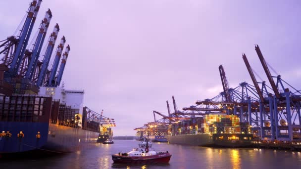 Impressionante Porto Hamburgo Com Seus Enormes Terminais Contêineres Fotografia Viagem — Vídeo de Stock
