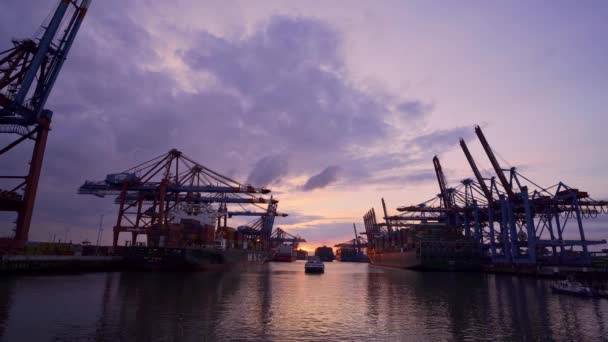 Impresionante Puerto Hamburgo Con Sus Enormes Terminales Contenedores Fotografía Viajes — Vídeos de Stock