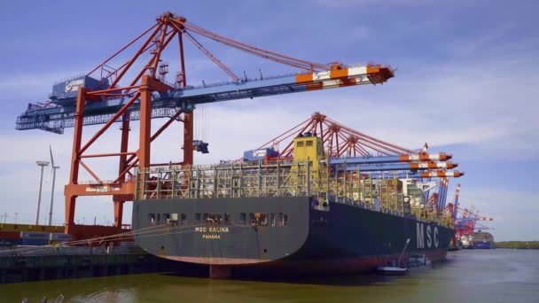Containerschiff Terminal Des Hamburger Hafens Hamburg Deutschland Mai 2021 — Stockvideo