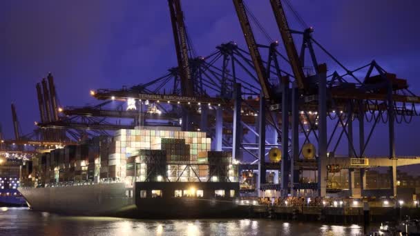Indrukwekkende Haven Van Hamburg Met Zijn Enorme Containerterminals Hamburg Duitsland — Stockvideo