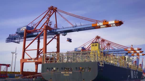 汉堡港的Eurogate集装箱码头 德国汉姆堡 2021年5月10日 — 图库视频影像