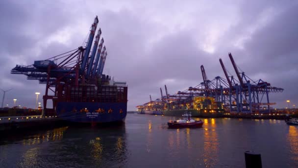 Eurogate Container Terminal Hamburgs Hamn Flygfoto — Stockvideo