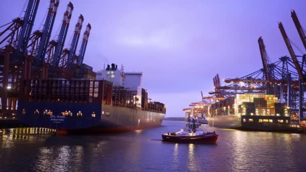 Imponente Porto Amburgo Con Suoi Enormi Container Terminal Notturni Hamburg — Video Stock