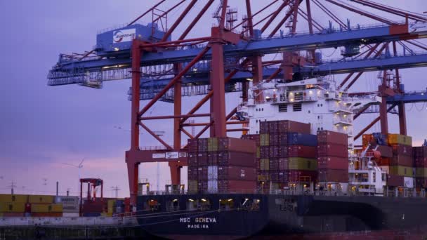 Imponujący Port Hamburgu Ogromnymi Terminalami Kontenerowymi Hamburg Niemcy Maj 2021 — Wideo stockowe