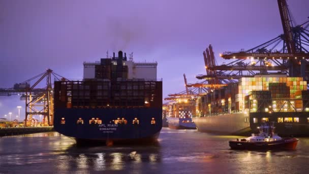 Haven Van Hamburg Containerterminal Nachts Timelapse Hamburg Duitsland Mei 2021 — Stockvideo