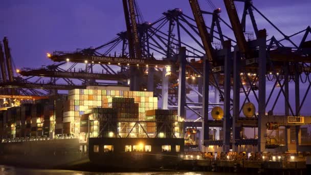 Imponujący port w Hamburgu z ogromnymi terminalami kontenerowymi - HAMBURG CITY, NIEMCY - MAJ 10, 2021 — Wideo stockowe