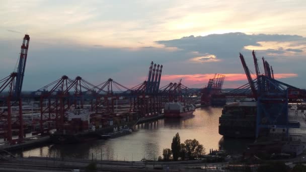 Hamburgs hamn på kvällen i bakljus — Stockvideo