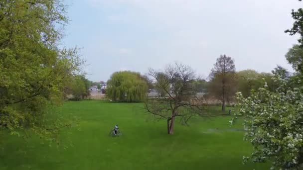 Espacios verdes y parques en la ciudad de Hamburgo en el río Alster — Vídeo de stock