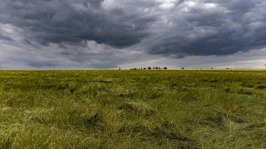 Dramatik gökyüzü olan çayırlar ve manzaralar - doğa fotoğrafçılığı