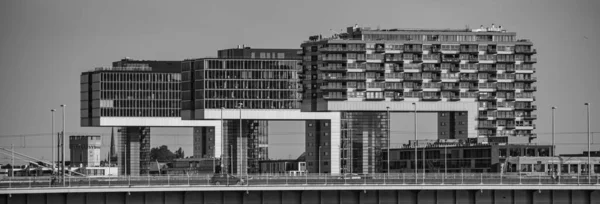 Modern Crane Houses Cologne River Rhine Cologne Alemanha Junho 2021 — Fotografia de Stock