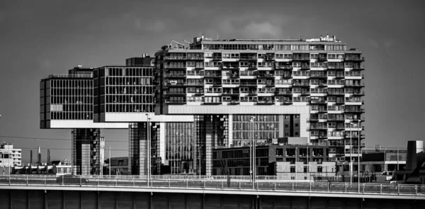 Rumah Crane Modern Cologne Sungai Rhine Cologne Jermany June 2021 — Stok Foto
