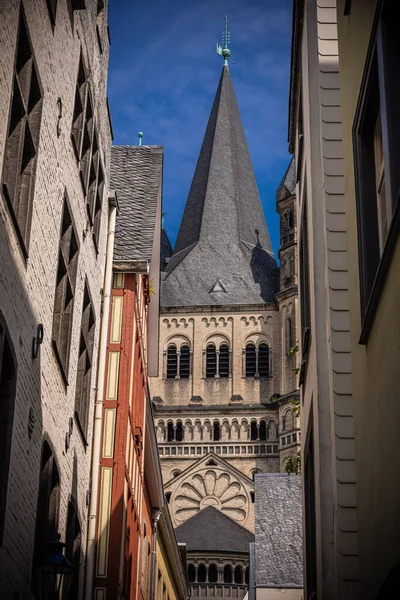 Historische Häuser Und Dom Der Stadt Köln Köln Deutschland Juni — Stockfoto
