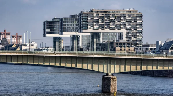 Modern Crane Houses Cologne River Rhine Cologne Alemanha Junho 2021 — Fotografia de Stock