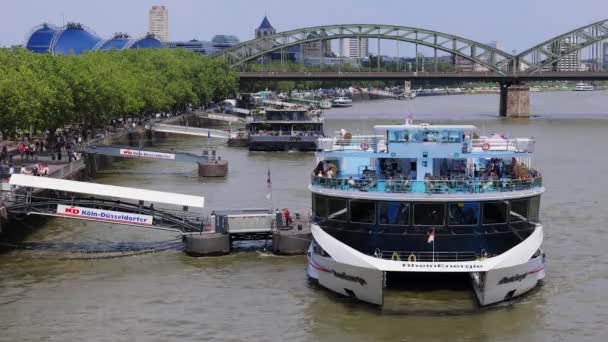 Sightseeing Båtar Floden Rhen Köln Cologne Tyskland Juni 2021 — Stockvideo