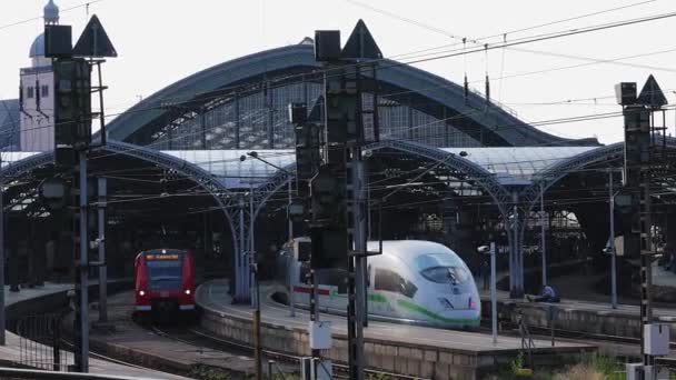 Gare Centrale Cologne Cologne Allemagne Juin 2021 — Video