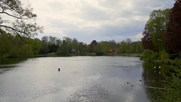 Pond Muehlenteich Staden Lubeck Tyskland Fotografi — Stockvideo