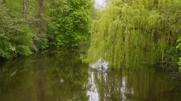 Bellissimo Parco Nella Città Stade Germania Fotografia Viaggio — Video Stock