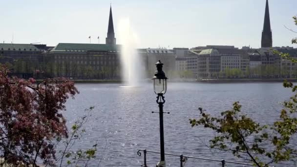 Beautiful City Center Hamburg Alster River Lake Travel Photography — Stock Video