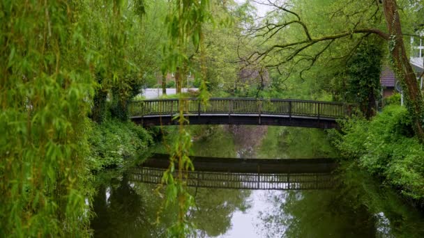 Buxtehude市美丽的公园 旅游摄影 — 图库视频影像