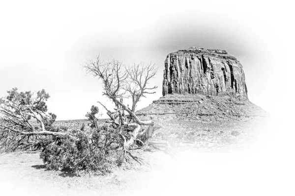 Utah Oljato Daki Anıt Vadisi Illüstrasyon — Stok fotoğraf