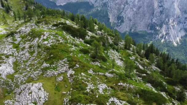 Vista aérea sobre los Alpes austríacos y el área de Aussee desde Mount Loser — Vídeos de Stock