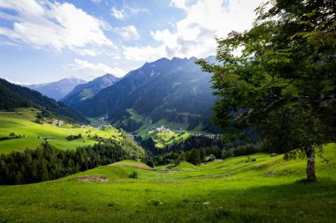 Avusturya Alplerinde tipik manzara