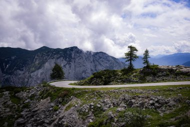 Dağları ve köknar ağaçları olan Avusturya Alpleri 'nin tipik panoramik manzarası - Ezik Altaussee Dağı