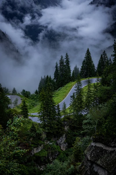 Avusturya Alpleri 'ndeki köknar ağaçlarının üzerinde derin bulutlar - Vorarlberg bölgesi — Stok fotoğraf