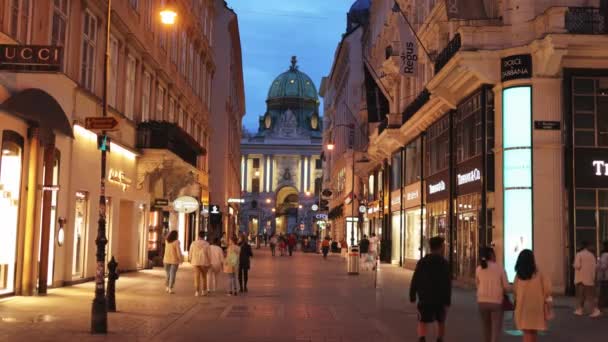 Zona peatonal de Viena con vistas al Palacio Imperial - VIENA, AUSTRIA, EUROPA - 1 DE AGOSTO DE 2021 — Vídeos de Stock