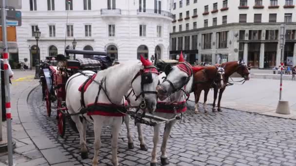 Pferdekutsche in Wien - WIEN, ÖSTERREICH, EUROPA - 1. AUGUST 2021 — Stockvideo
