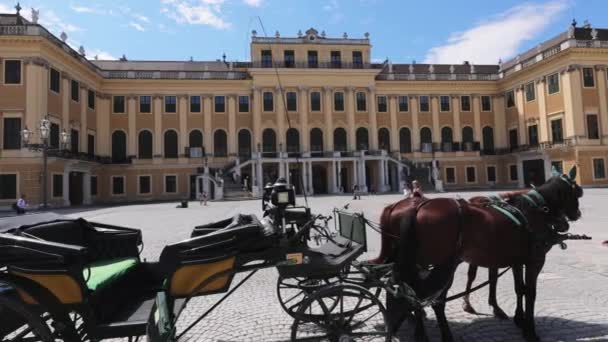 Pferdekutsche in Wien - WIEN, ÖSTERREICH, EUROPA - 1. AUGUST 2021 — Stockvideo